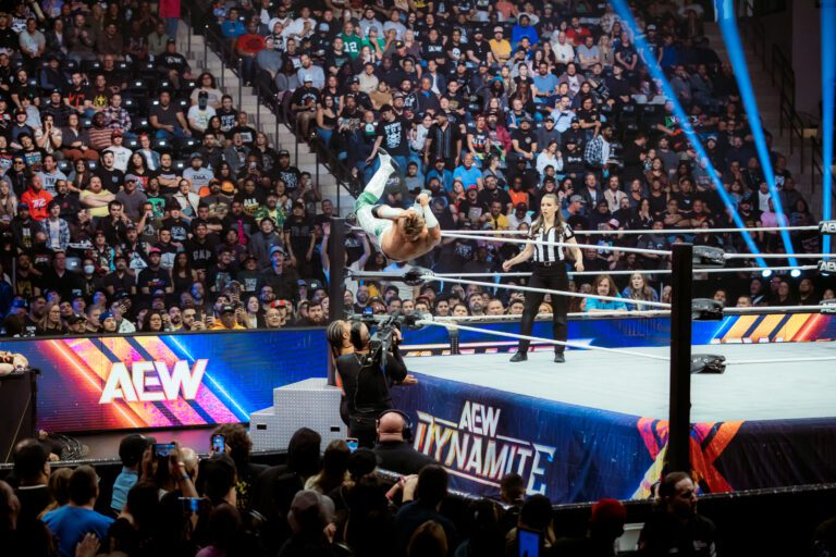 AEW Wrestling-018
