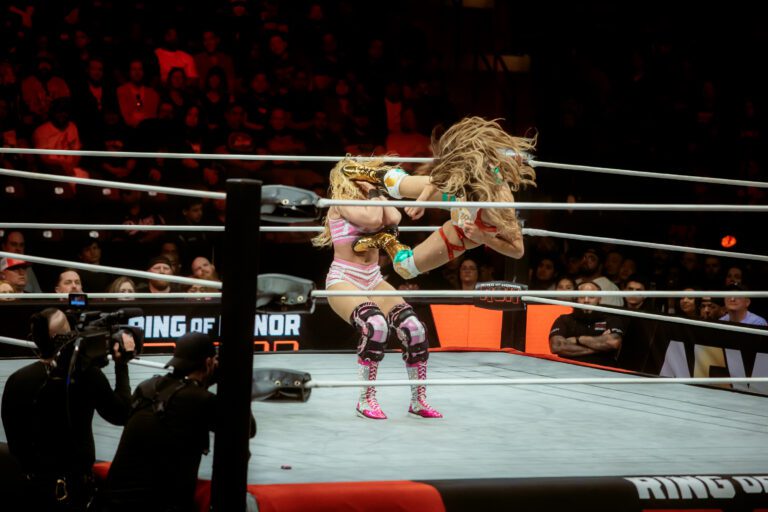 AEW Wrestling-042