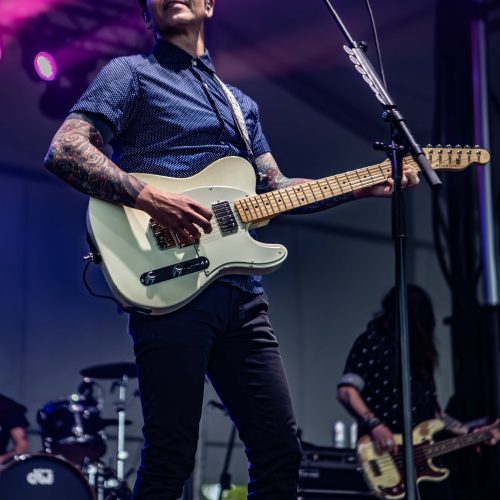 Dashboard Confessional - AYF 2024 (7)