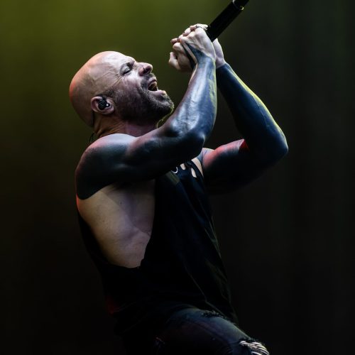 Daughtry_Bluesfest2025_Day8_Staceytakespictures_14