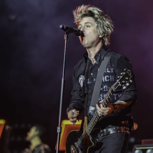 Greenday - Bluesfest 2025 Day 7 (11)