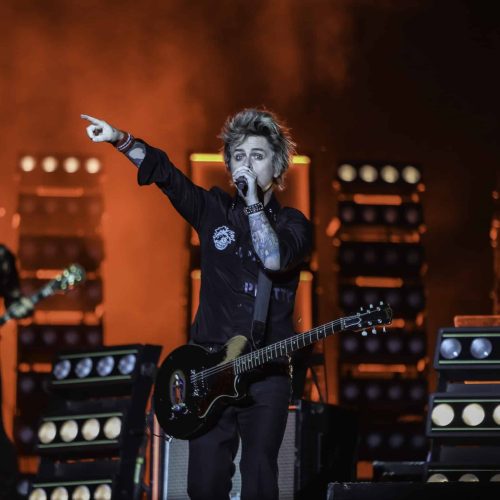 Greenday - Bluesfest 2025 Day 7 (12)