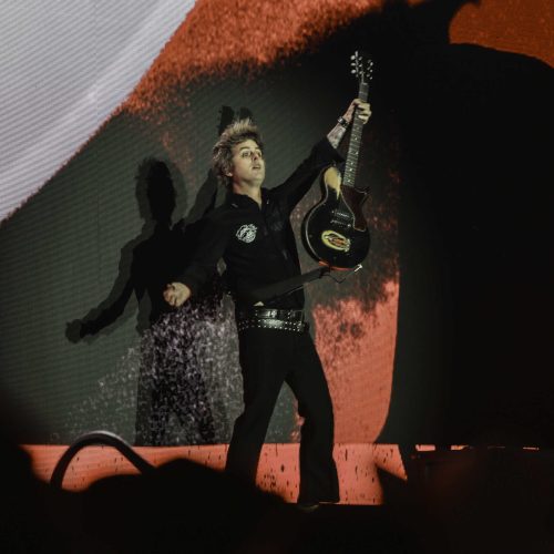 Greenday - Bluesfest 2025 Day 7 (15)