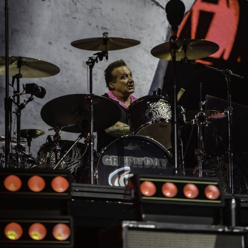 Greenday - Bluesfest 2025 Day 7 (3)