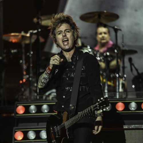 Greenday - Bluesfest 2025 Day 7 (7)