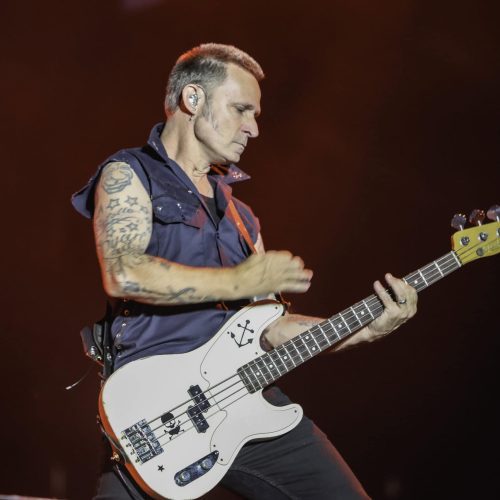Greenday - Bluesfest 2025 Day 7 (8)