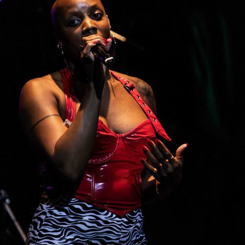 Nnerjie_Bluesfest2025_Day7_Staceytakespictures_1