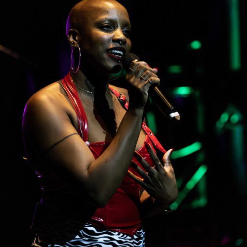 Nnerjie_Bluesfest2025_Day7_Staceytakespictures_3