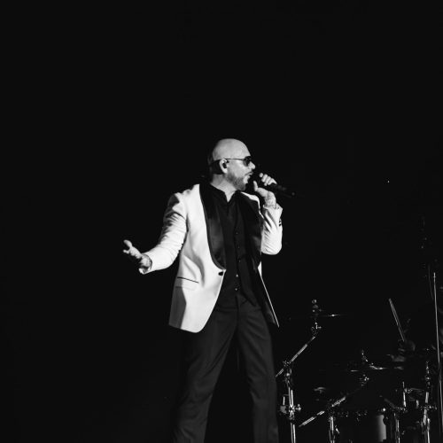 PITBULL-KATELYN-08