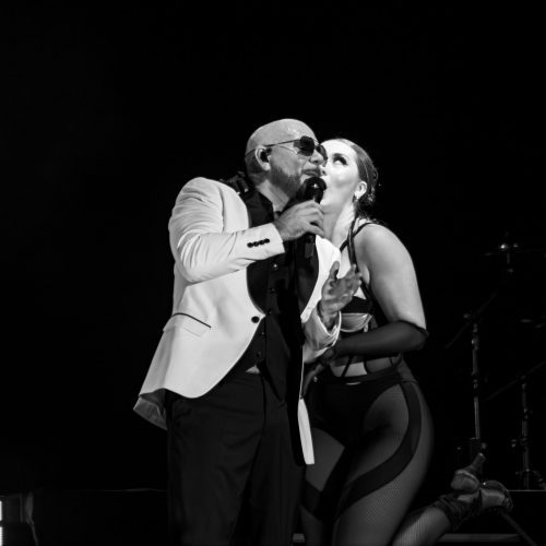 PITBULL-KATELYN-18