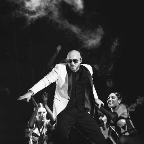 PITBULL-KATELYN-22