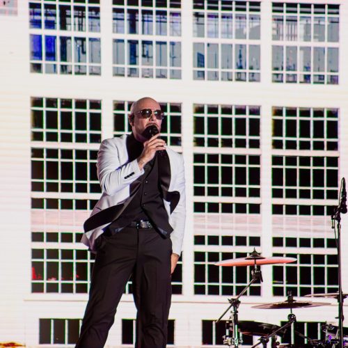 PITBULL-KATELYN-28