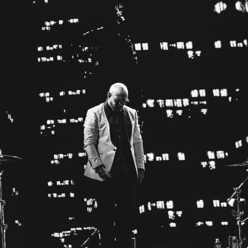 PITBULL-KATELYN-35