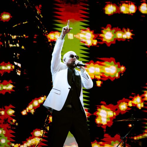 PITBULL-KATELYN-43