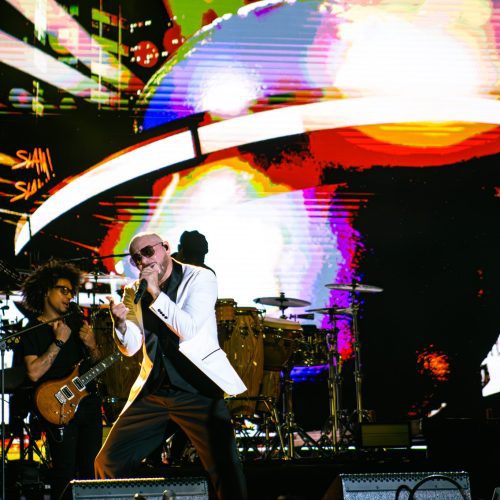 PITBULL-KATELYN-47
