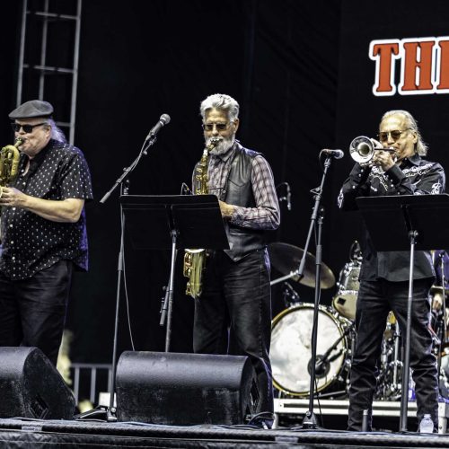 Texas Horns - Bluesfest 2025 Day 8 (1)