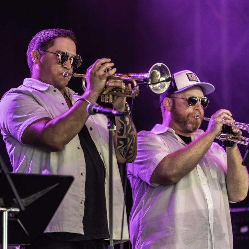 The Commotions - Bluesfest 2025 Day 7 (6)