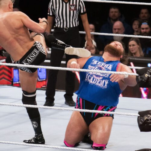WWE Main Event