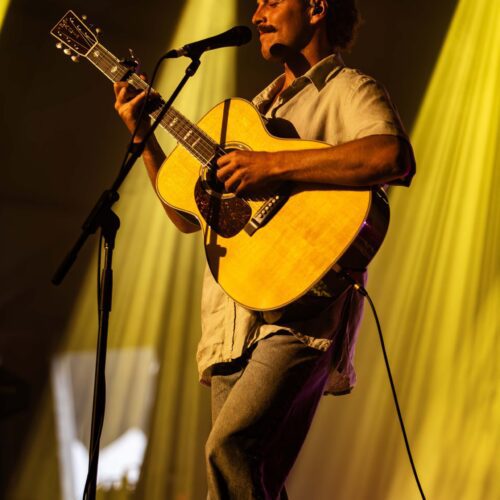 Ziggy Alberts - Bluesfest 2024 (1)